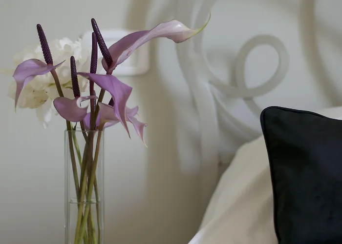 B&B Amor 4* Roma