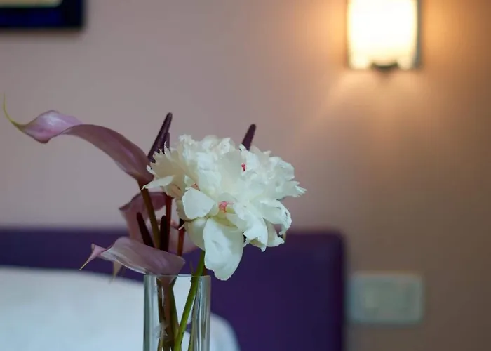 B&B Amor Oda ve Kahvaltı Roma