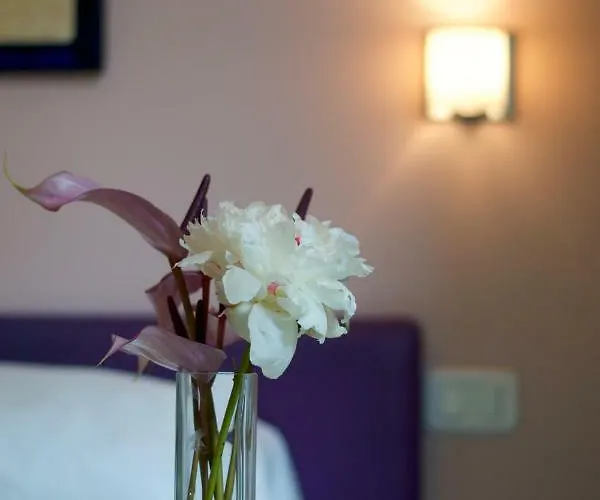 B&B Amor Roma